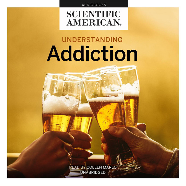 Understanding addiction audiobook on spotify