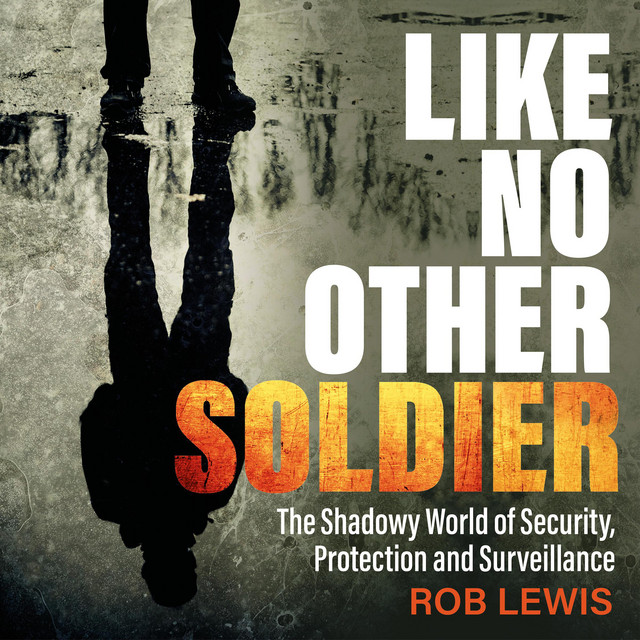 Like No Other Soldier: The Shadowy World of Security, Protection and ...