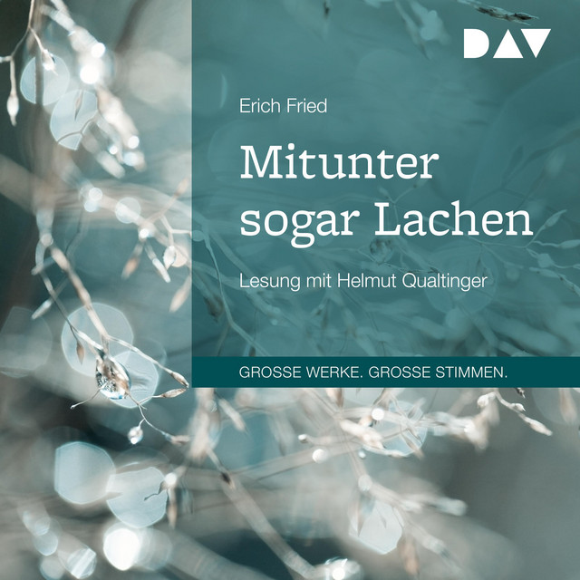 Mitunter sogar Lachen | Audiobook on Spotify
