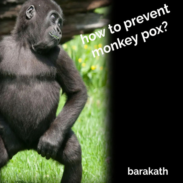 how-to-prevent-monkey-pox-audiobook-on-spotify