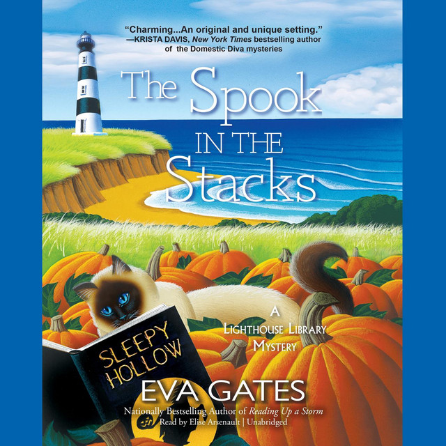 The Spook in the Stacks: A Lighthouse Library Mystery | Audiobook on ...