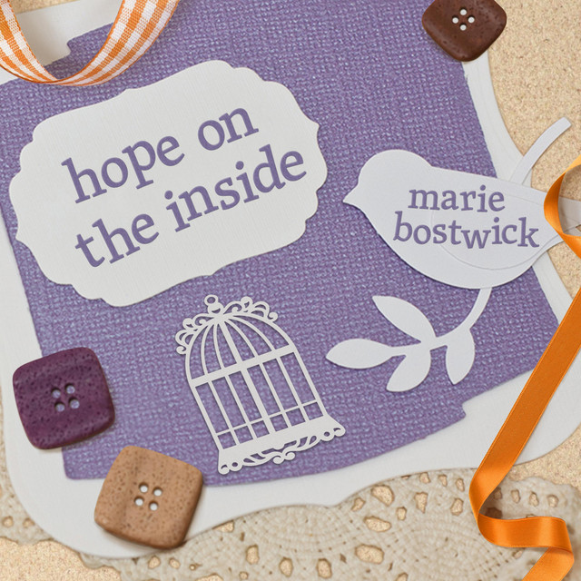 Hope on the Inside Audiobook on Spotify