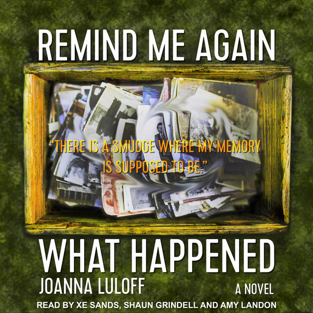 Remind Me Again What Happened | Audiobook on Spotify
