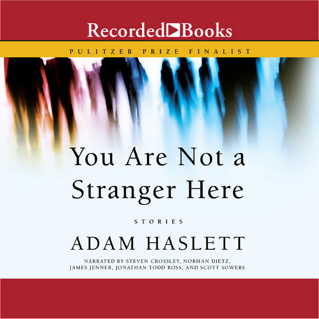 You Are Not A Stranger Here Stories Audiobook on Spotify
