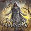 Dungeon Madness (Divine Dungeon) cover