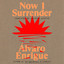 Now I Surrender cover