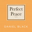 Perfect Peace : A Novel cover