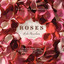 Roses cover