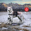 Deadly Alaskan Pursuit cover