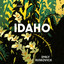 Idaho: A Novel (Unabridged) cover