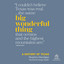Big Wonderful Thing : A History of Texas cover