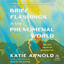 Brief Flashings in the Phenomenal World : Zen and the Art of Running Free cover