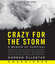 Crazy for the Storm cover