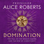 Domination: The Fall of the Roman Empire and the Rise of Christianity cover