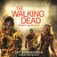 Robert Kirkman's The Walking Dead: Search and Destroy cover