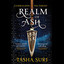 Realm of Ash (The Books of Ambha, #2) cover