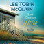 Low Country Hero cover