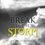 Break in the Storm (WeHo, #2) cover