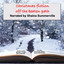 Christmas Fiction off the Beaten Path cover