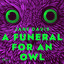 A Funeral for an Owl cover
