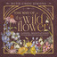 The Way of the Wildflower: Gospel Meditations to Unburden Your Anxious Soul cover