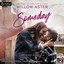 Someday: Landmark Mountain, Book 2 (Unabridged) cover