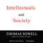 Intellectuals and Society cover