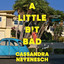 A Little Bit Bad cover