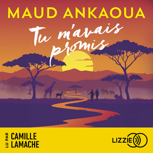 Tu m'avais promis Audiobook