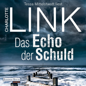 Das Echo der Schuld: Kriminalroman