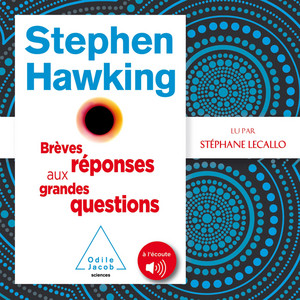 Brèves réponses aux grandes questions Audiobook