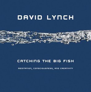 Catching the Big Fish: Meditation, Consciousness, and Creativity Audiobook