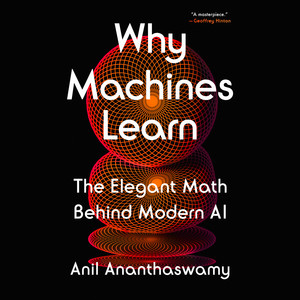 Why Machines Learn: The Elegant Math Behind Modern AI