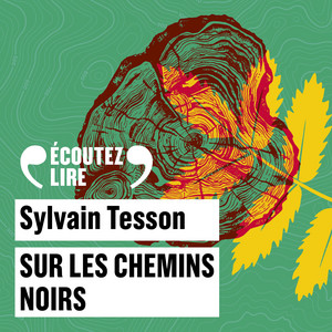 Sur les chemins noirs Audiobook