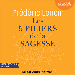 Les 5 Piliers de la sagesse : petit manuel de résistance intérieure Audiobook