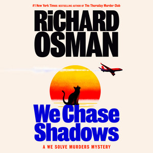 We Chase Shadows: A We Solve Murders Mystery Audiobook