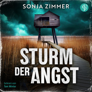 Sturm der Angst | Nordsee Krimi Hörbuch - SOKO Leer, Band 1 (Ungekürzt) Audiobook