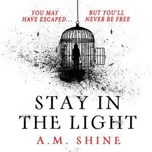 Stay in the Light: the chilling sequel to hit horror novel THE WATCHERS