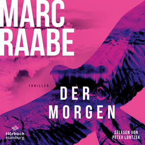 Der Morgen  (Art Mayer-Serie 1): Die neue Serie des Bestseller-Autors – dieses Buch bringt Sie um den Schlaf!