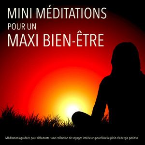 MINI méditations pour un MAXI bien-être: Méditations guidées pour débutants : une collection de voyages intérieurs pour faire le plein d'énergie positive