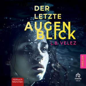 Der letzte Augenblick Audiobook