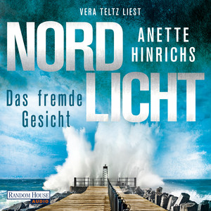 Nordlicht - Das fremde Gesicht: Kriminalroman - Die SPIEGEL-Nr.1-Bestsellerreihe um das deutsch-dänische Ermittlerduo