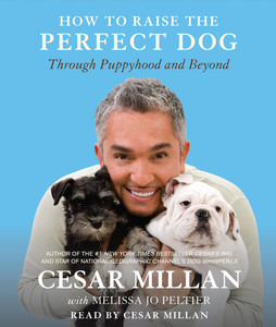 How to Raise the Perfect Dog: Through Puppyhood and Beyond
