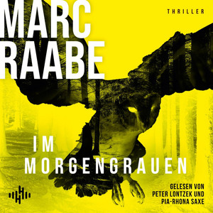 Im Morgengrauen (Art Mayer-Serie 4): Art Mayers neuer Fall | Bestseller von Marc Raabe bringen Sie um den Schlaf!