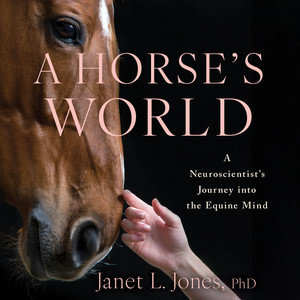A Horse's World: A Neuroscientist's Journey into the Equine Mind