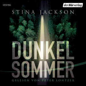 Dunkelsommer: Roman