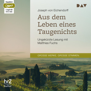 Aus dem Leben eines Taugenichts