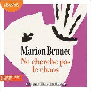 Ne cherche pas le chaos Audiobook
