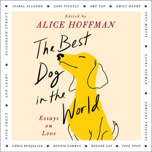 The Best Dog in the World: Essays on Love