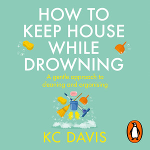 How to Keep House While Drowning: A gentle approach to cleaning and organising